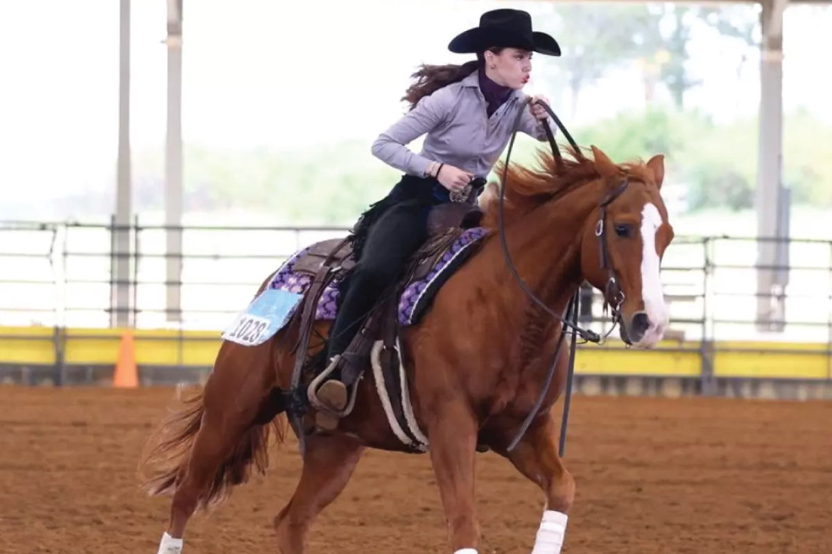 give to MGA equestrian team